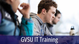 Training Image with Student at a laptop